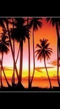 New mobile wallpapers - free download. Grand Theft Auto (GTA), Games, Palms, Sunset picture and image for mobile phones.