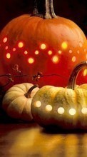 Holidays, Halloween, Vegetables, Pumpkin for Sony Xperia U