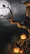 Halloween, Holidays, Pumpkin for Lenovo K900
