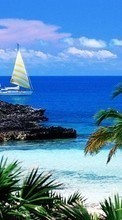 New 540x960 mobile wallpapers Landscape, Water, Sea, Yachts, Palms free download.