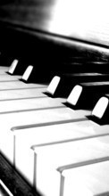 New mobile wallpapers - free download. Piano,Music picture and image for mobile phones.