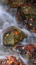 New mobile wallpapers - free download. Landscape, Water, Rivers, Stones, Leaves picture and image for mobile phones.