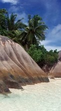 Landscape, Stones, Sea, Beach, Palms for Sony Ericsson K530