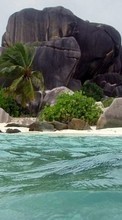 New mobile wallpapers - free download. Landscape, Water, Stones, Sea, Beach, Palms picture and image for mobile phones.