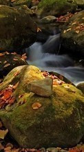 New mobile wallpapers - free download. Landscape, Nature, Rivers, Stones, Autumn picture and image for mobile phones.