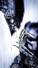 New 1024x768 mobile wallpapers Cinema, AVP: Alien vs. Predator free download.