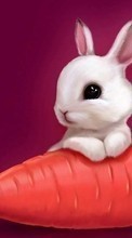 New mobile wallpapers - free download. Rabbits, Pictures, Animals picture and image for mobile phones.