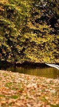 Swans,Landscape,Nature,Birds,Animals for Sony Ericsson Xperia X10 mini