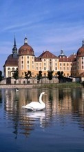 New mobile wallpapers - free download. Swans,Landscape,Castles picture and image for mobile phones.