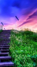 New mobile wallpapers - free download. Ladders, Sky, Clouds, Landscape, Grass, Sunset picture and image for mobile phones.