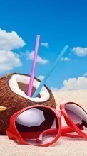 New mobile wallpapers - free download. Summer, Drinks, Objects, Coconuts picture and image for mobile phones.
