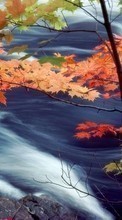 New mobile wallpapers - free download. Landscape, Water, Autumn, Leaves picture and image for mobile phones.
