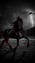 New 360x640 mobile wallpapers Animals, Horses, Drawings free download.
