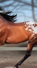 Horses, Animals for HTC Desire 300