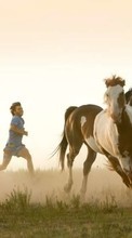 Horses, Animals for HTC Desire 820