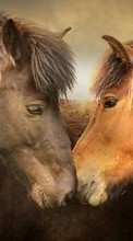 Horses,Animals for Motorola DROID RAZR
