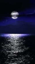 New mobile wallpapers - free download. Moon,Sea,Night,Landscape picture and image for mobile phones.