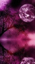 New mobile wallpapers - free download. Landscape, Night, Moon picture and image for mobile phones.