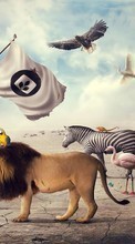 New mobile wallpapers - free download. Lions, People, Men, Animals picture and image for mobile phones.