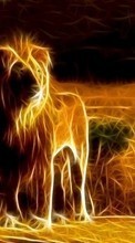 New mobile wallpapers - free download. Lions,Pictures,Animals picture and image for mobile phones.