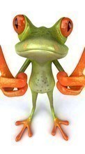 New mobile wallpapers - free download. Frogs, Humor, Animals picture and image for mobile phones.