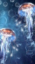 Jellyfish,Animals for Fly ERA Energy 1 IQ4502 