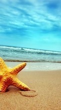 New mobile wallpapers - free download. Sea, Starfish, Sky, Landscape, Beach picture and image for mobile phones.