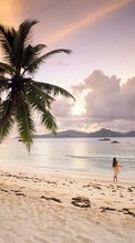 Landscape, Sky, Sea, Beach, Palms for Sony Ericsson Z550