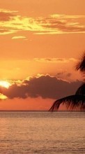 New 1024x768 mobile wallpapers Landscape, Sunset, Sky, Sea, Sun, Palms free download.