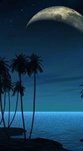 New mobile wallpapers - free download. Sea,Night,Palms,Landscape picture and image for mobile phones.