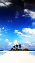 New mobile wallpapers - free download. Sea, Clouds, Palms, Landscape, Sand picture and image for mobile phones.