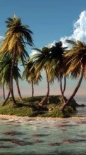 New mobile wallpapers - free download. Sea,Palms,Landscape picture and image for mobile phones.