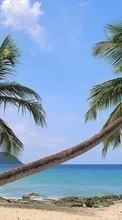 New mobile wallpapers - free download. Landscape, Sea, Palms picture and image for mobile phones.