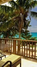 Sea, Palms, Landscape, Beach for Samsung Galaxy S2 Plus