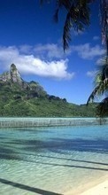 Sea,Palms,Landscape,Beach for HTC Desire 500
