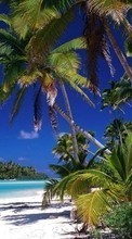 New 240x320 mobile wallpapers Landscape, Sea, Beach, Palms free download.