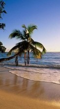 New 720x1280 mobile wallpapers Landscape, Water, Sunset, Sea, Sun, Beach, Palms free download.