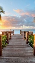 Sea, Palms, Landscape, Beach, Sunset for LG Optimus L3 2 E425