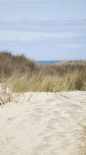 New mobile wallpapers - free download. Sea, Landscape, Sand, Grass picture and image for mobile phones.