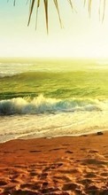 Sea, Landscape, Beach, Sun for Sony Xperia Z2 Tablet