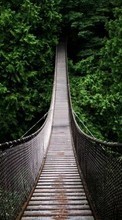 New mobile wallpapers - free download. Bridges, Landscape picture and image for mobile phones.