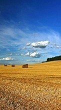 New mobile wallpapers - free download. Landscape, Nature, Fields, Sky, Clouds picture and image for mobile phones.