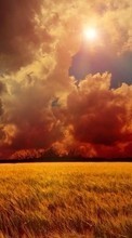 New mobile wallpapers - free download. Sky, Clouds, Landscape, Fields, Sun picture and image for mobile phones.