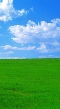 New 720x1280 mobile wallpapers Landscape, Grass, Sky, Clouds free download.