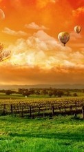 New mobile wallpapers - free download. Sky, Clouds, Landscape, Grass, Grapes, Balloons, Sunset picture and image for mobile phones.