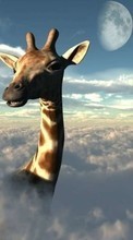 New mobile wallpapers - free download. Animals, Sky, Clouds, Giraffes picture and image for mobile phones.