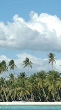 Landscape, Sky, Palms for Fly ERA Nano 2 IQ239