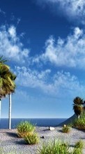 New mobile wallpapers - free download. Landscape, Sky, Palms picture and image for mobile phones.