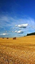New mobile wallpapers - free download. Sky,Landscape,Fields picture and image for mobile phones.