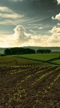 New mobile wallpapers - free download. Sky, Landscape, Fields, Nature, Grass picture and image for mobile phones.